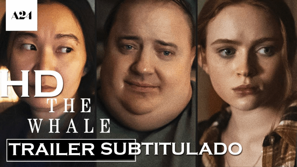 Top 5 películas imperdibles disponibles